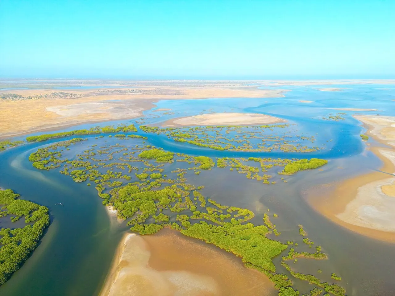 Das Saloum-Delta mit Mangroven aus der Luft